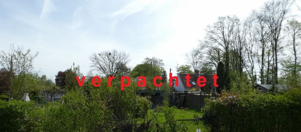 Mandelblütenweg 5: inzwischen verpachtet